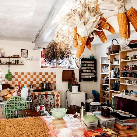 Country Living School Lantställe