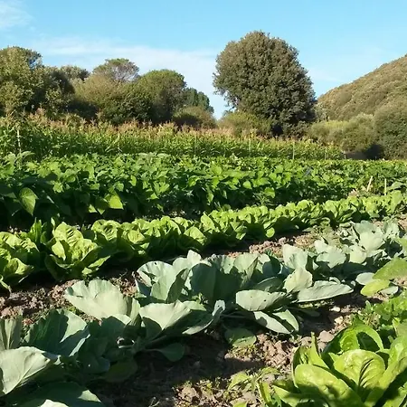 Country Living School